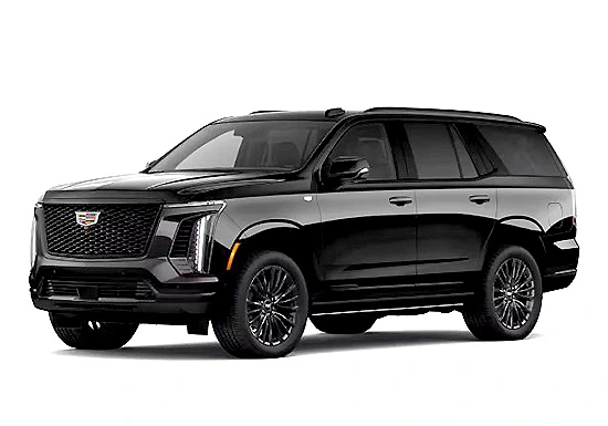 Bay Area Limousine Fleet